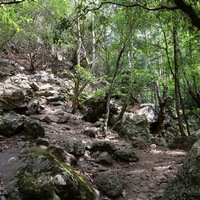 Photo de France - La randonnée des Gorges d'Héric